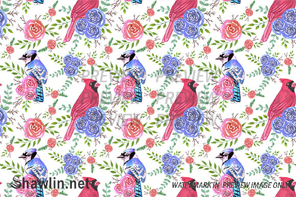 Cardinals and Bluejays Roses: A Designer's Review