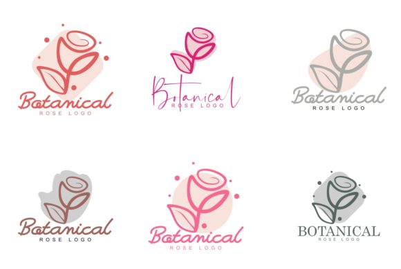 Hand Drawn Rose Botanical Logo: A Designer’s Real-World Review for Branding and Print Projects